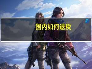 国内如何退税