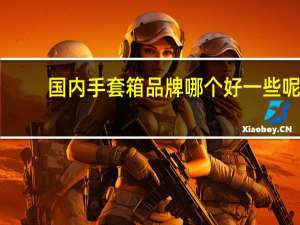 国内手套箱品牌哪个好一些呢，国产的质量怎么样