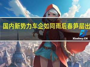 国内新势力车企如同雨后春笋层出不穷