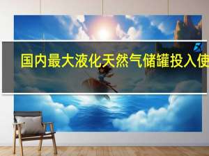 国内最大液化天然气储罐投入使用：自主研发、罐内能放一架C919