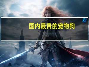 国内最贵的宠物狗