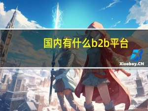 国内有什么b2b平台