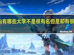国内有哪些大学不是很有名但是却有很牛的专业
