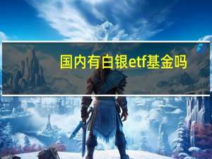 国内有白银etf基金吗