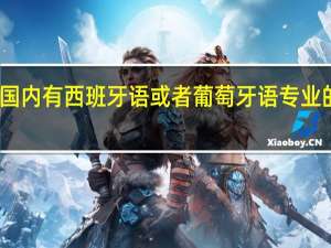 国内有西班牙语或者葡萄牙语专业的大学
