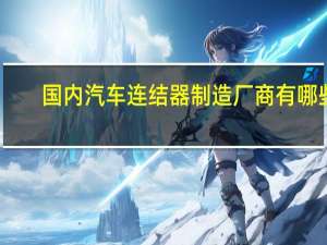 国内汽车连结器制造厂商有哪些