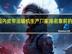 国内皮带运输机生产厂家排名靠前的有哪些
