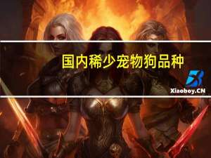 国内稀少宠物狗品种