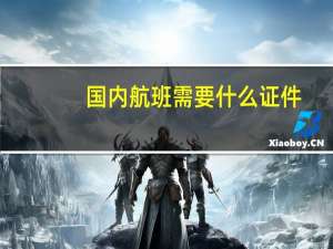 国内航班需要什么证件