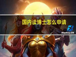 国内读博士怎么申请