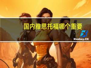 国内雅思托福哪个重要