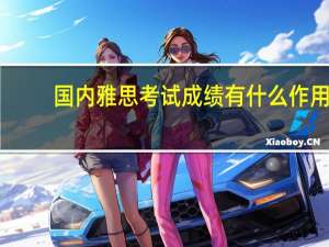 国内雅思考试成绩有什么作用