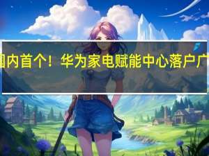 国内首个！华为家电赋能中心落户广东廉江