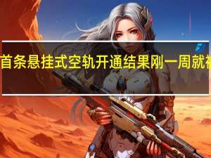 国内首条悬挂式空轨开通 结果刚一周就被砸了玻璃