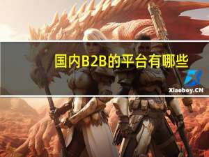 国内B2B的平台有哪些