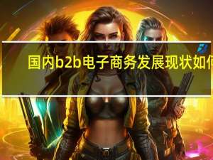 国内b2b电子商务发展现状如何