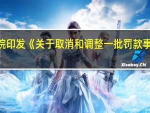 国务院印发《关于取消和调整一批罚款事项的决定》