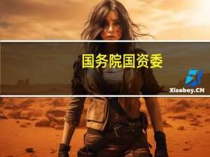 国务院国资委：将研究细化中央企业价值创造评价指标