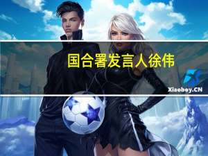 国合署发言人徐伟：中国政府向巴勒斯坦提供紧急人道主义援助