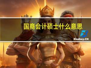 国商会计硕士什么意思
