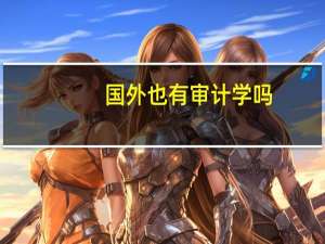 国外也有审计学吗