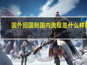 国外回国到国内流程是什么样的