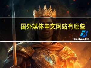 国外媒体中文网站有哪些（国外媒体中文网站）