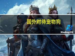 国外对待宠物狗