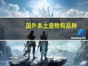 国外本土宠物狗品种