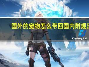 国外的宠物怎么带回国内附规定
