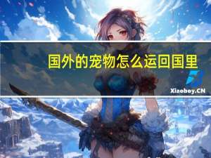国外的宠物怎么运回国里