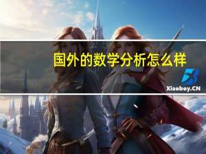 国外的数学分析怎么样