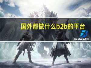 国外都做什么b2b的平台