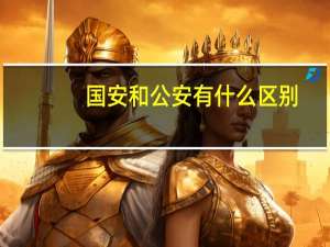国安和公安有什么区别