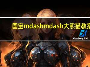 国宝 mdash  mdash 大熊猫 教案