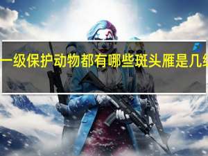 国家一级保护动物都有哪些 斑头雁是几级保护动物