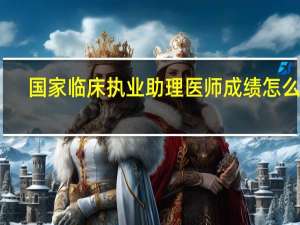 国家临床执业助理医师成绩怎么查