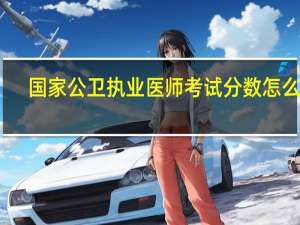 国家公卫执业医师考试分数怎么查