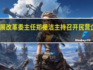 国家发展改革委主任郑栅洁主持召开民营企业家座谈会