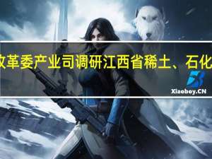 国家发展改革委产业司调研江西省稀土、石化等产业发展情况
