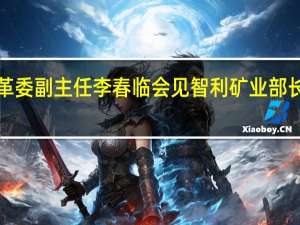 国家发展改革委副主任李春临会见智利矿业部长奥罗拉·威廉姆斯