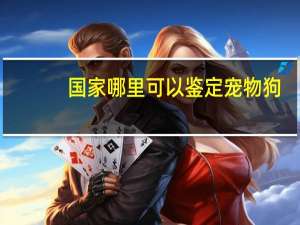 国家哪里可以鉴定宠物狗