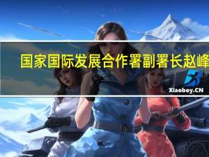 国家国际发展合作署副署长赵峰涛：中国将进一步加大对全球发展合作的资源投入