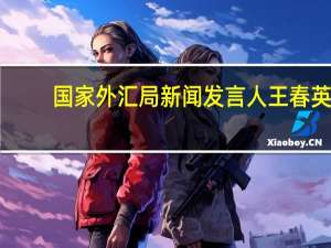 国家外汇局新闻发言人王春英：2023年前三季度我国国际收支保持基本平衡
