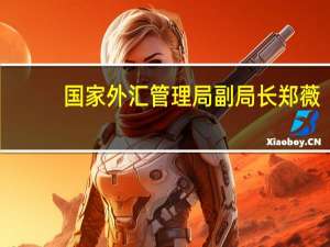 国家外汇管理局副局长郑薇：上半年我国国际收支保持基本平衡经常账户顺差1468亿美元