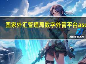 国家外汇管理局数字外管平台asone（国家外汇管理局应用服务平台asone）