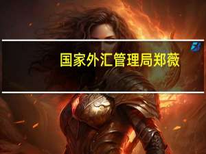 国家外汇管理局郑薇：外汇市场稳健运行基础坚实 上半年外资净买入境内股票和债券增多