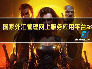国家外汇管理网上服务应用平台asone（sone）