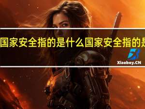 国家安全指的是什么 国家安全指的是什么