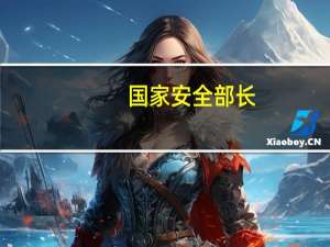 国家安全部长